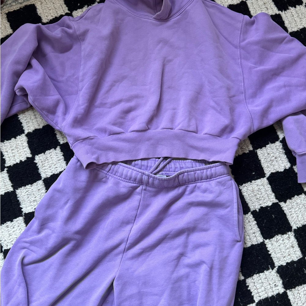 Aritzia Tna cozy sweat suit